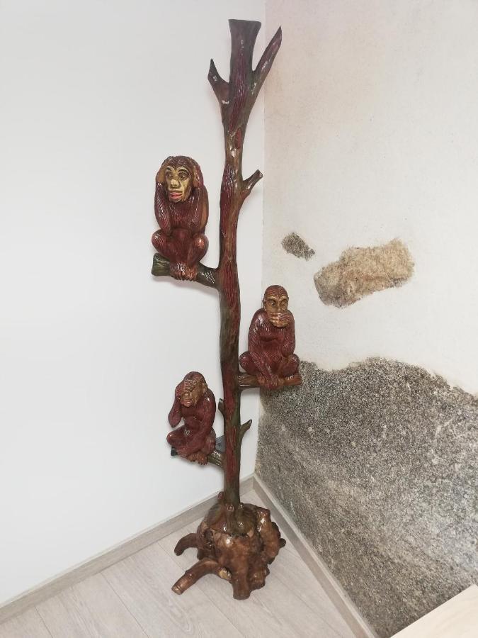 Los Tres Monos Ávila エクステリア 写真